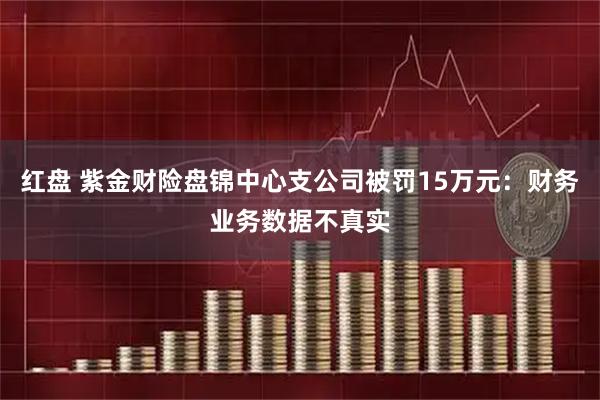 红盘 紫金财险盘锦中心支公司被罚15万元：财务业务数据不真实